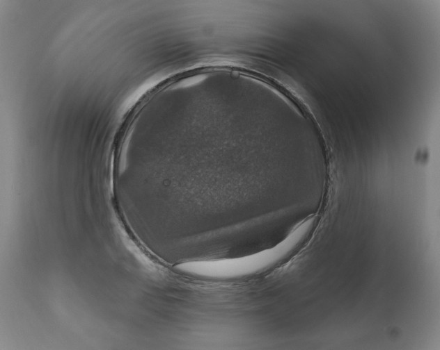 X0000112021127200908241508