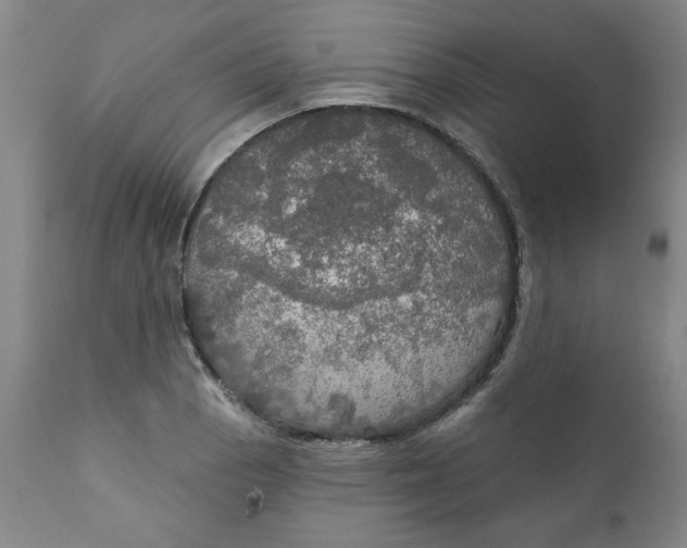 X0000112021129200908241508