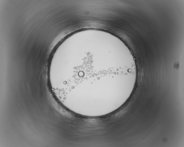 X0000112021130200908241508