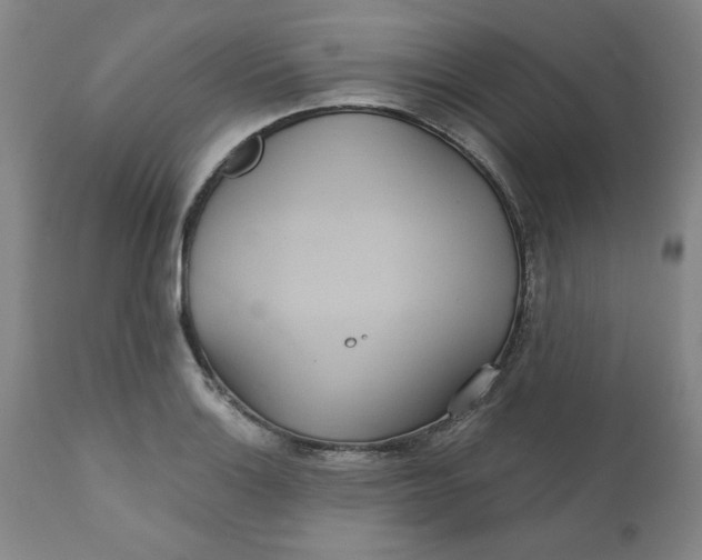 X0000112021132200908241508