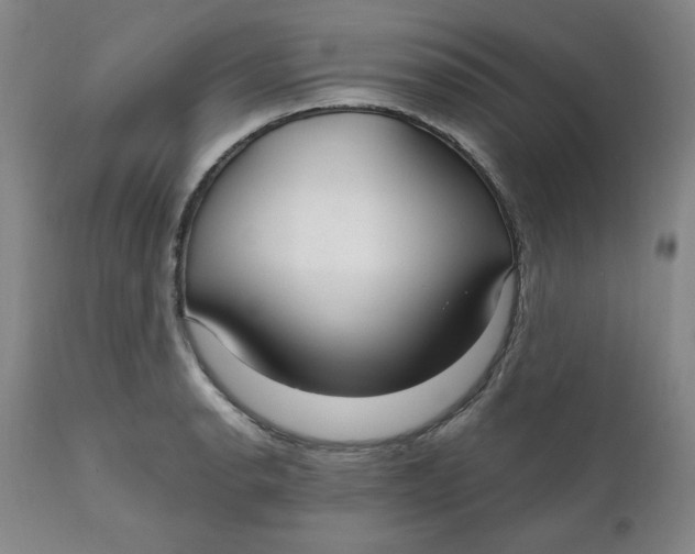 X0000112021134200908241508