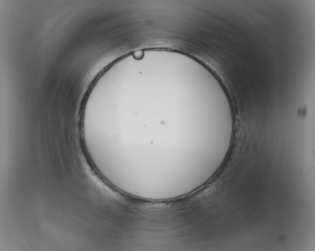 X0000112021135200908241508