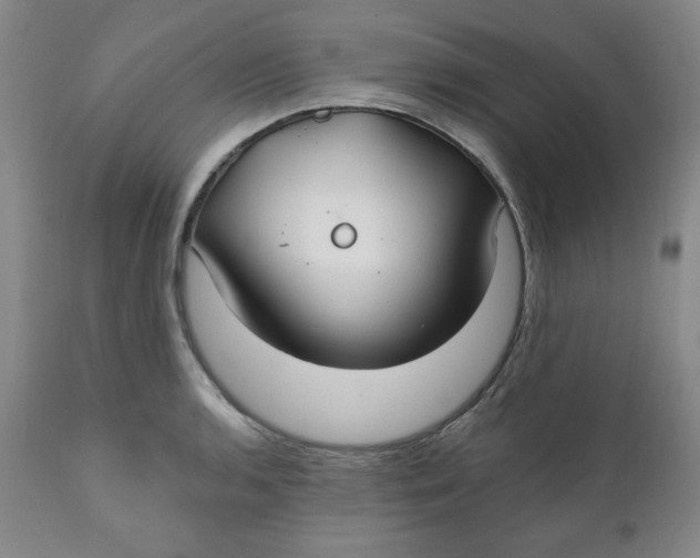 X0000112021136200908241508