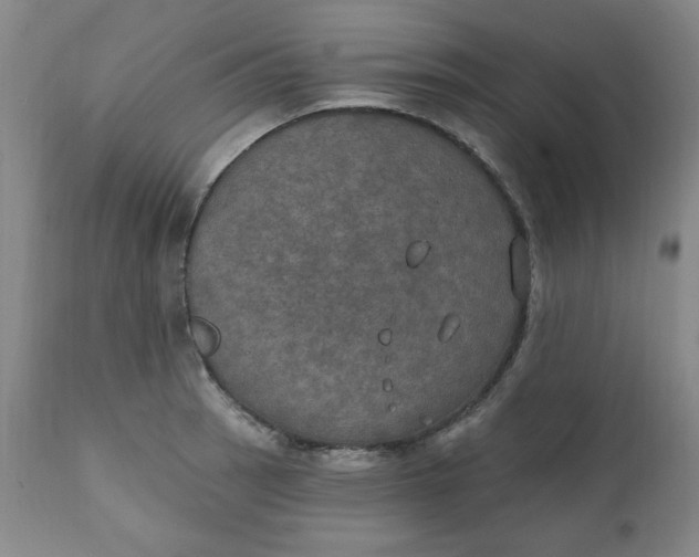 X0000112021137200908241508