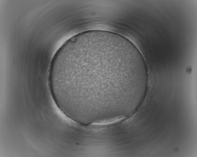 X0000112021139200908241508