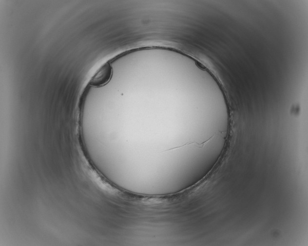 X0000112021140200908241508