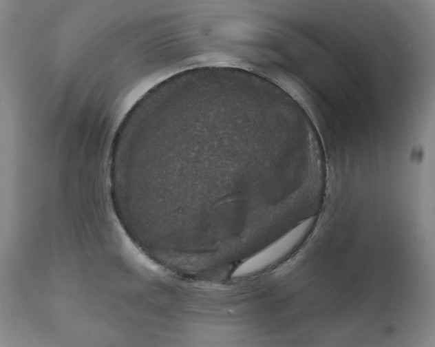 X0000112021141200908241508