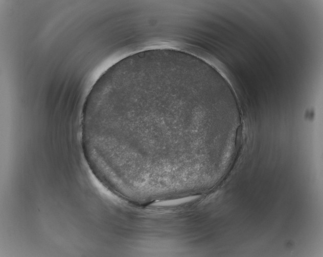 X0000112021143200908241508