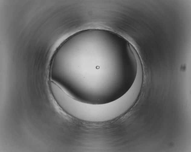 X0000112021144200908241508