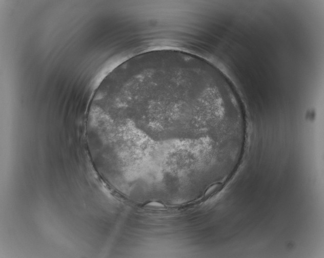 X0000112021145200908241508