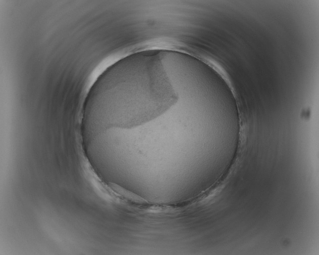 X0000112021146200908241508