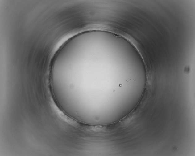 X0000112021147200908241508