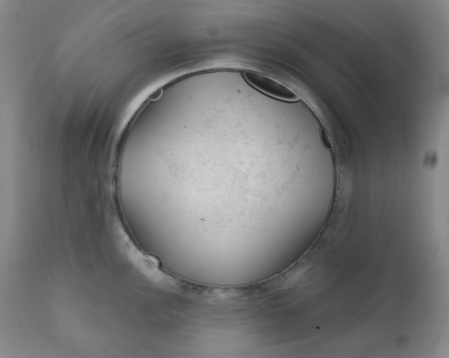 X0000112021148200908241508