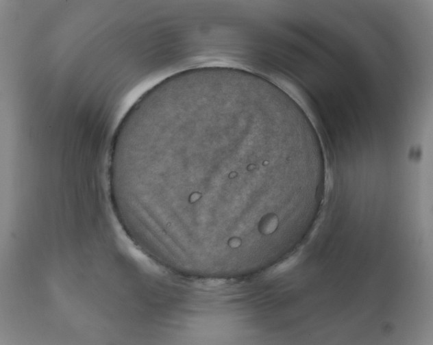 X0000112021149200908241508