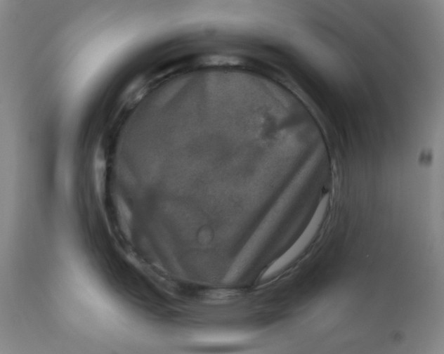 X0000112021151200908241508