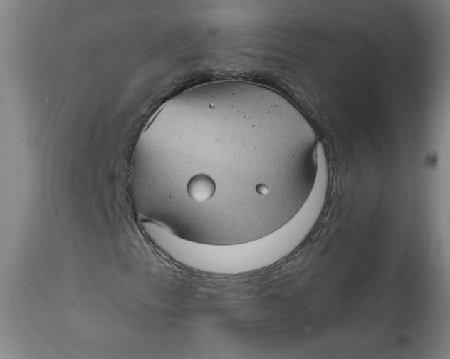 X0000112021153200908241508