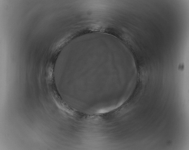 X0000112021154200908241508