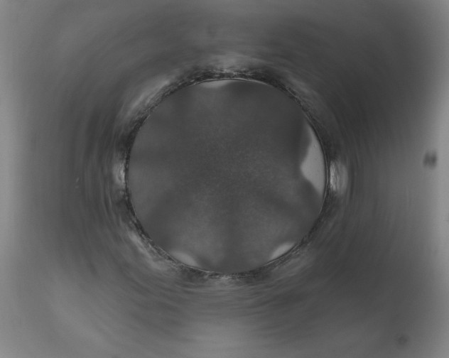 X0000112021155200908241508