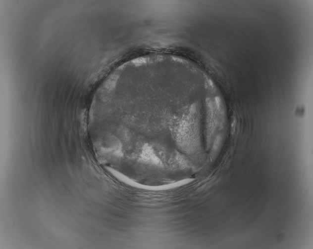 X0000112021156200908241508