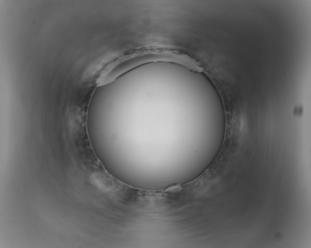 X0000112021157200908241508