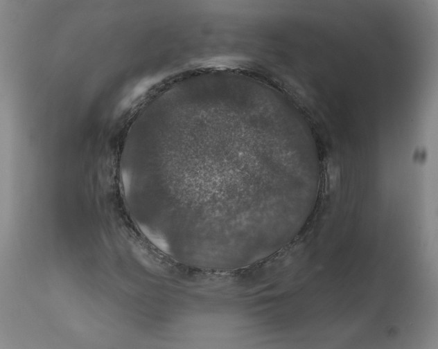 X0000112021158200908241508