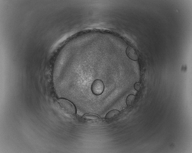 X0000112021159200908241508