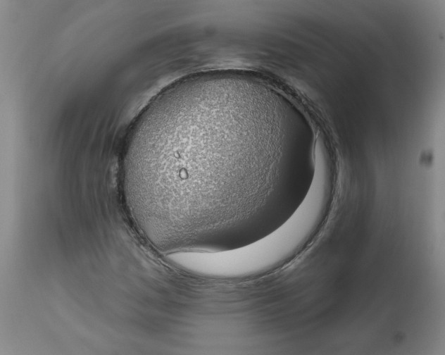 X0000112021161200908241508