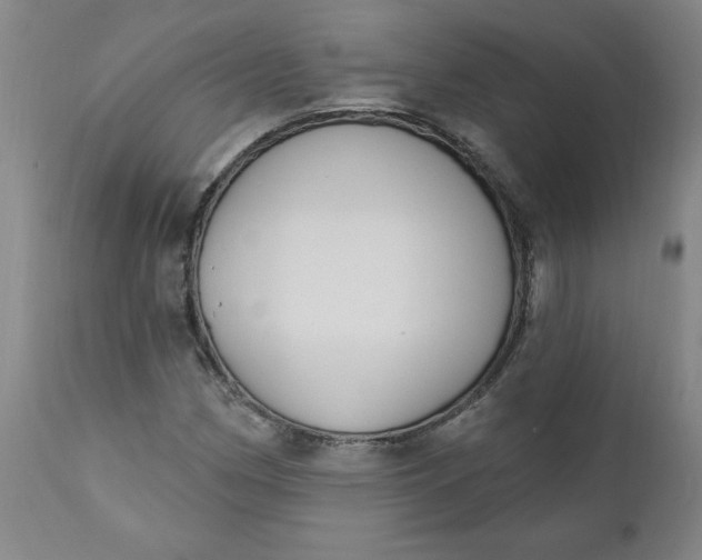 X0000112021162200908241508