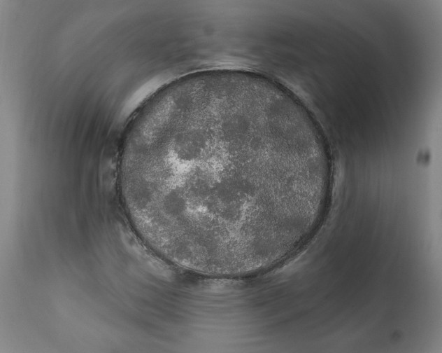 X0000112021163200908241508