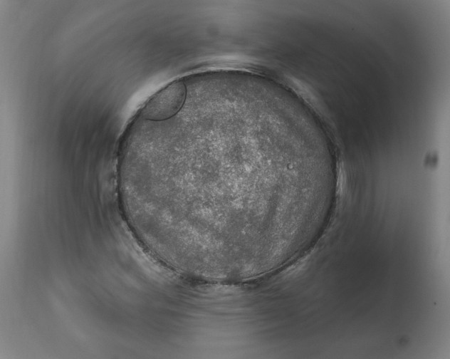 X0000112021164200908241508