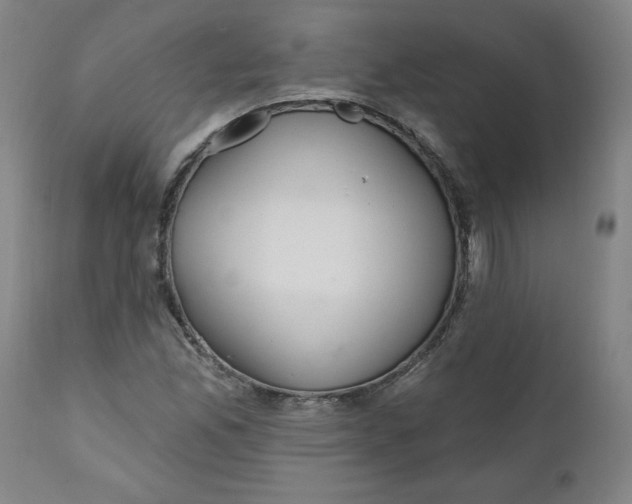 X0000112021165200908241508