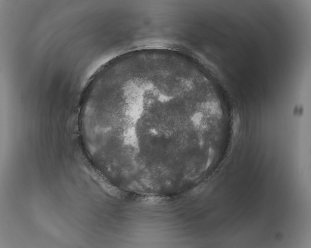 X0000112021166200908241508