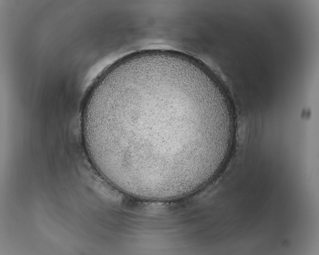 X0000112021167200908241508