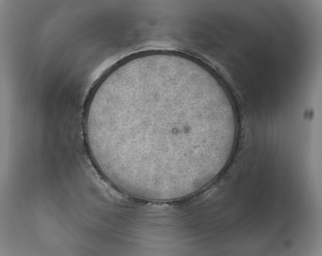 X0000112021168200908241508