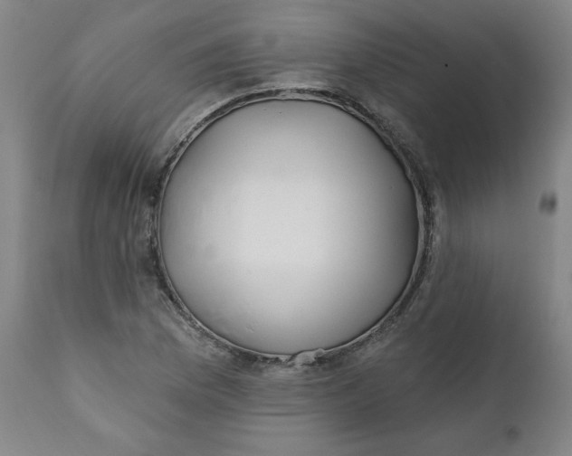 X0000112021169200908241508