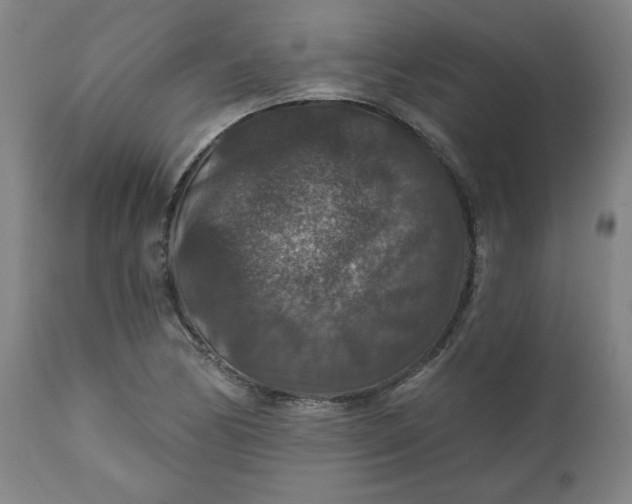 X0000112021170200908241508