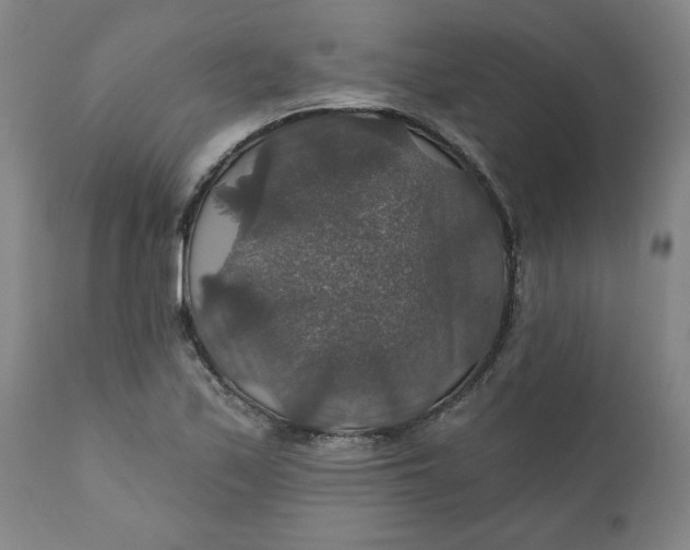 X0000112021171200908241508