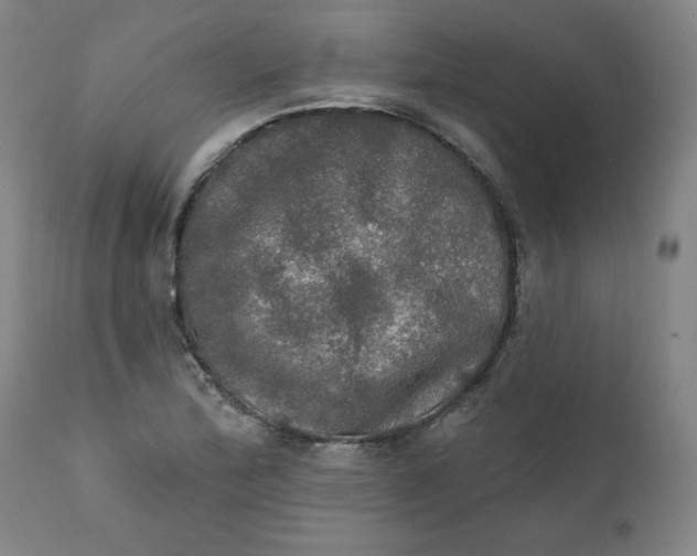 X0000112021172200908241508