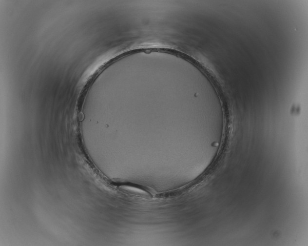 X0000112021173200908241508