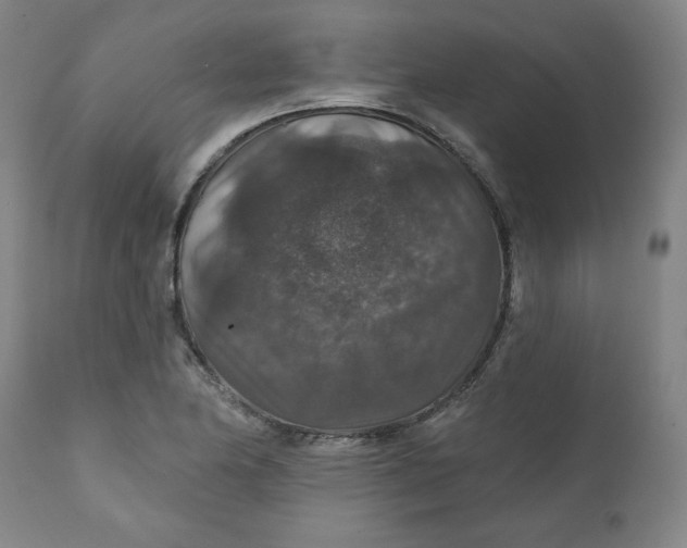 X0000112021174200908241508