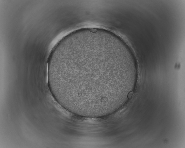 X0000112021175200908241508