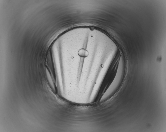 X0000112021177200908241507