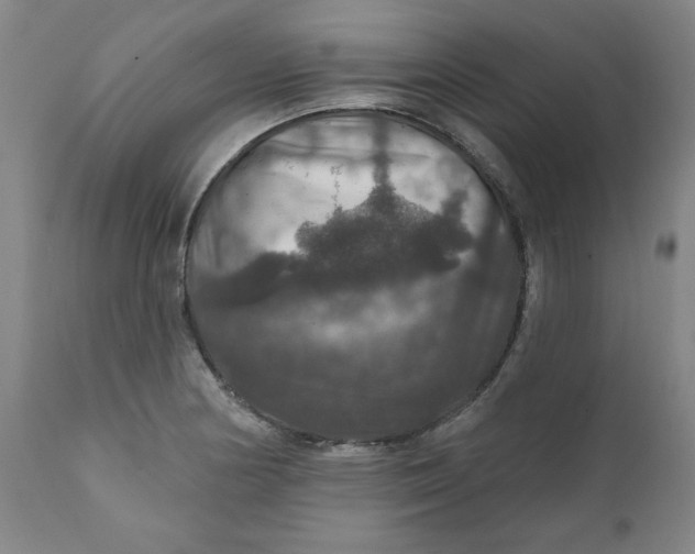 X0000112021178200908241507