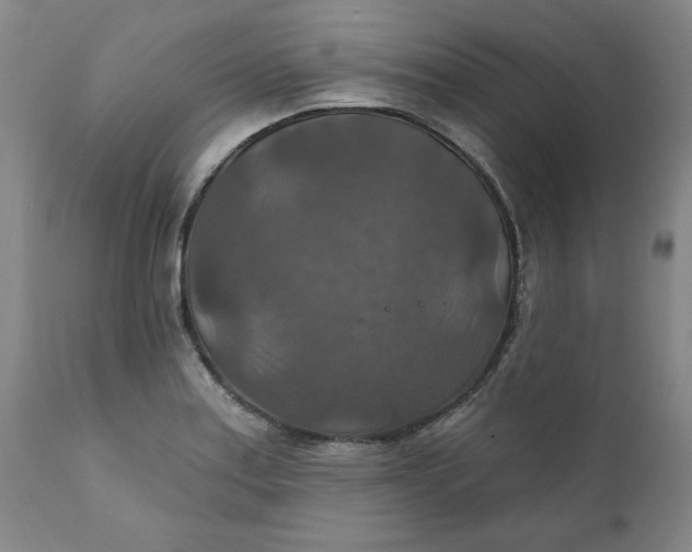 X0000112021179200908241507