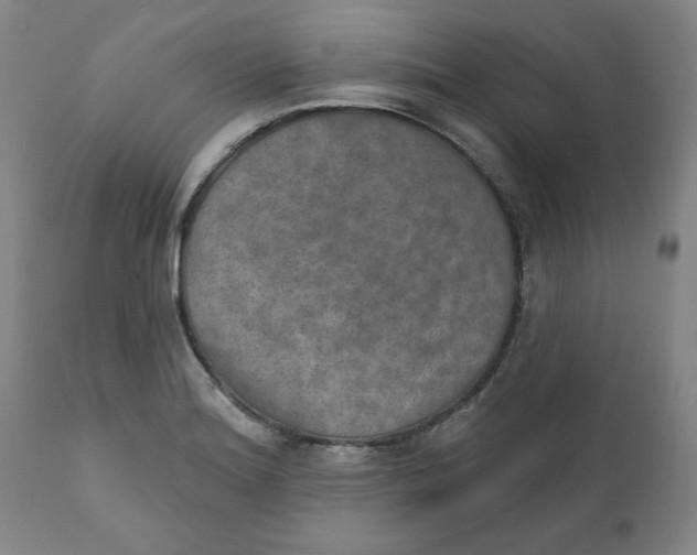 X0000112021180200908241507