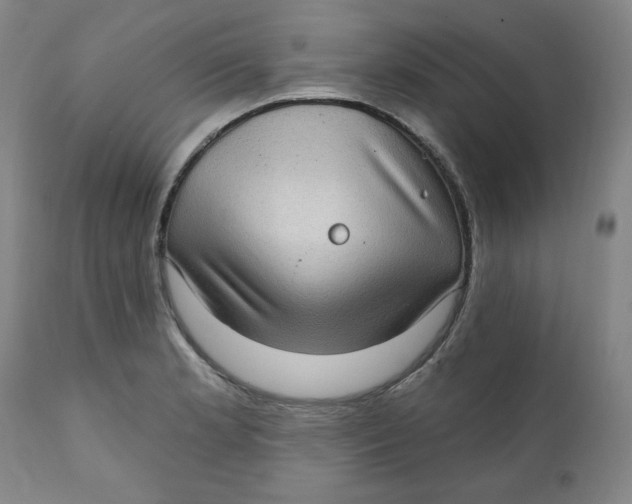 X0000112021181200908241507