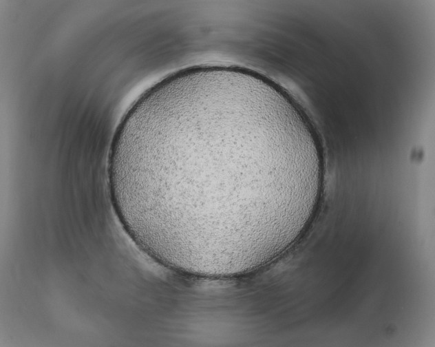 X0000112021183200908241507