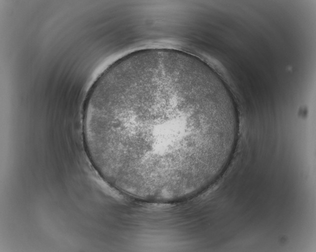 X0000112021184200908241507