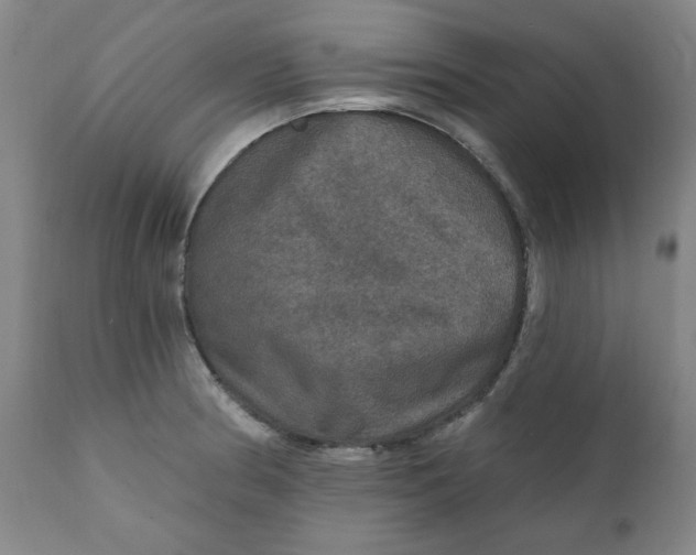 X0000112021186200908241507