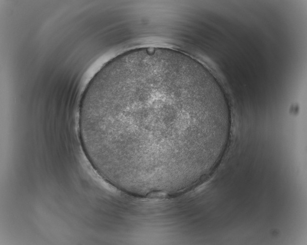 X0000112021188200908241507